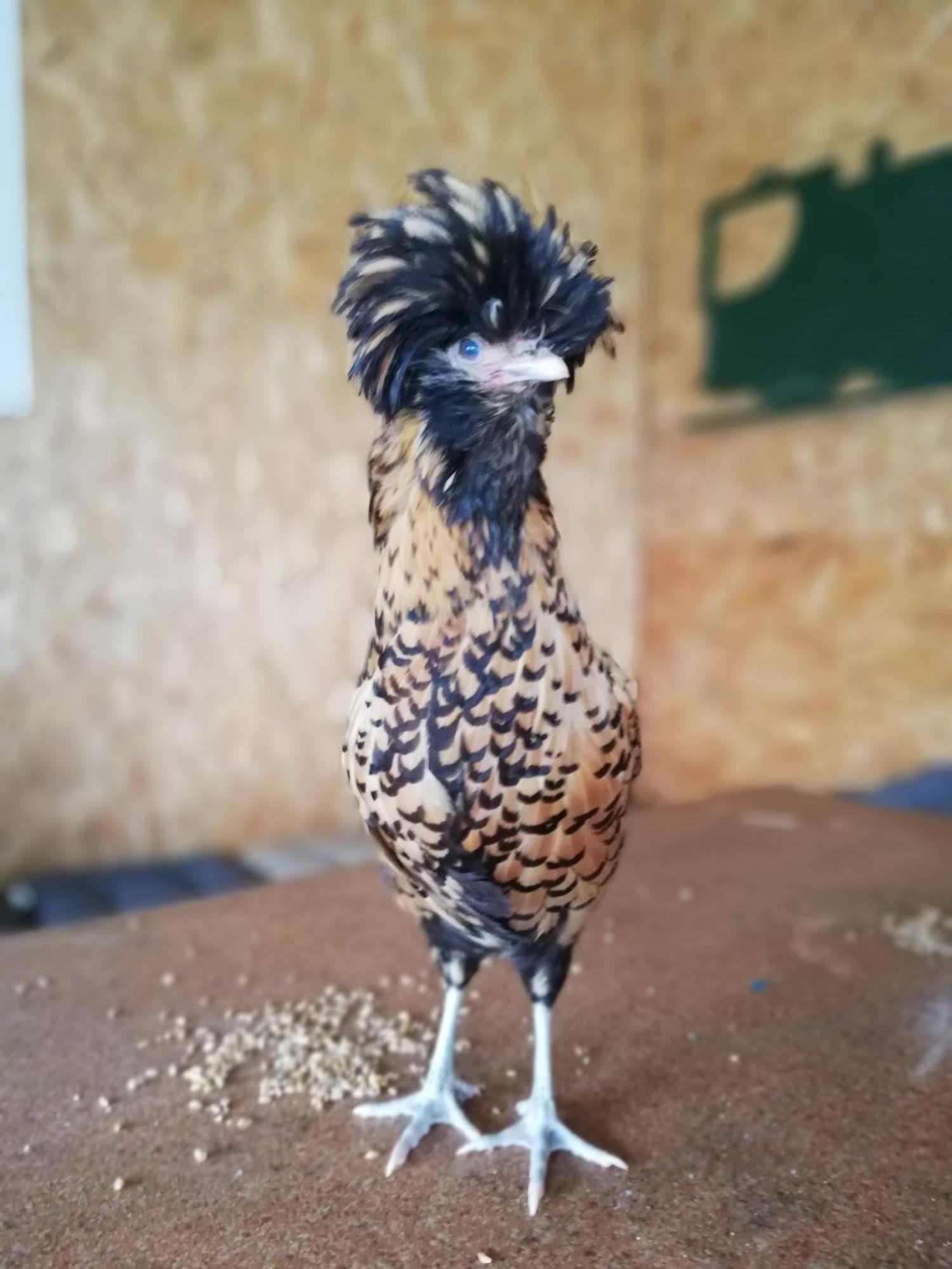 Gite Les Anes De Medeina Ingrannes Dış mekan fotoğraf